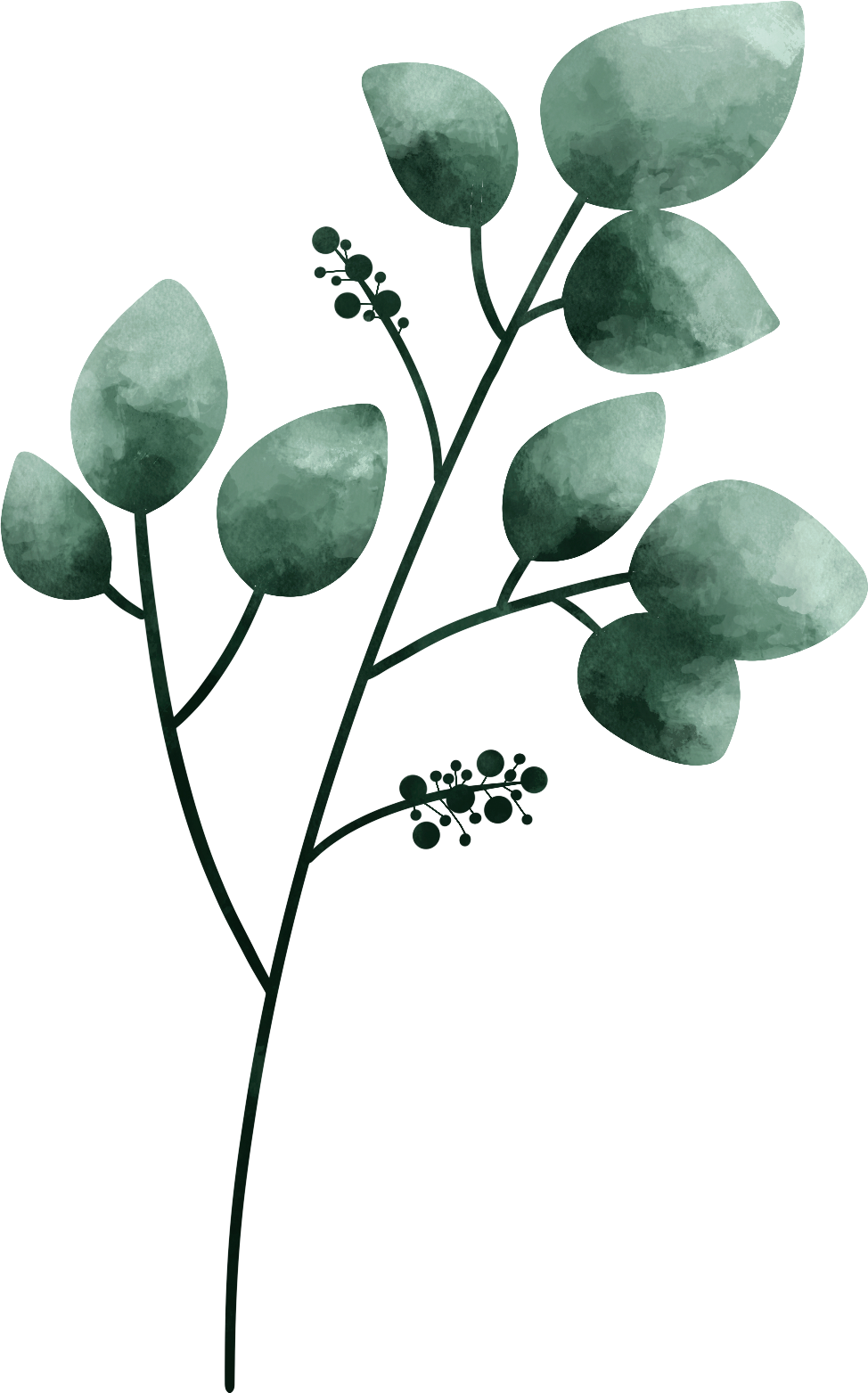 Blumen